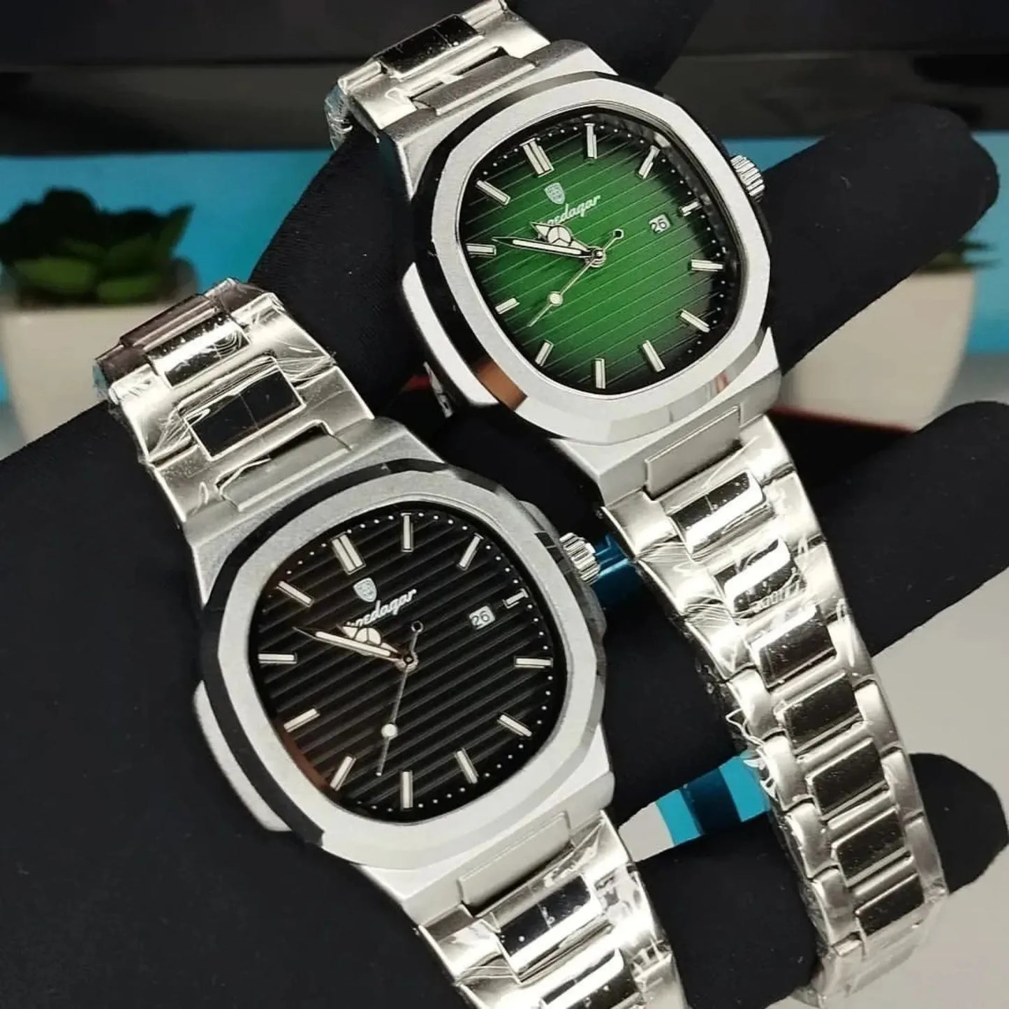 Luca Poedagar® Nautilus | Luca Poedagar